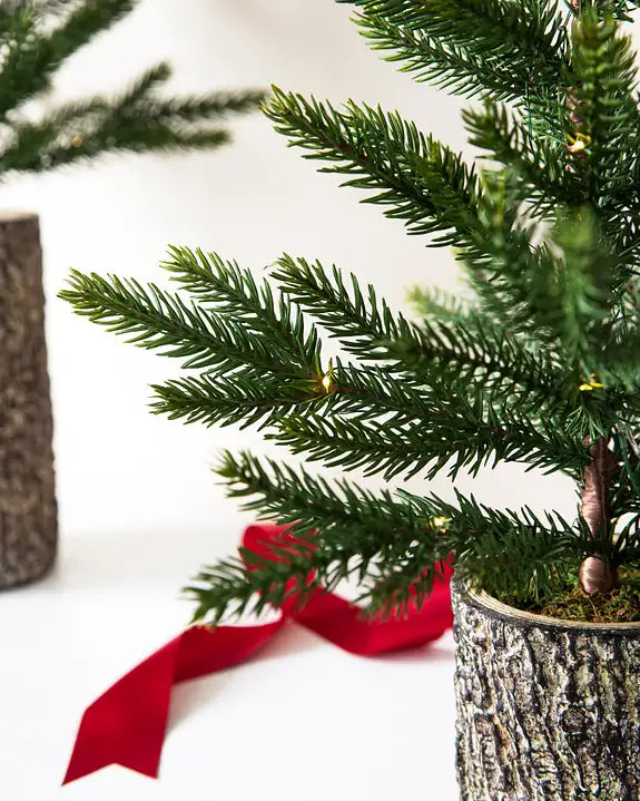 Trio de Mini Árvores de Natal Bosque Encantado Vasos Rústicos com Luzes LED