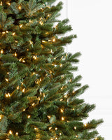Detalhe das luzes do Abeto Fraser Imperial Flip Tree