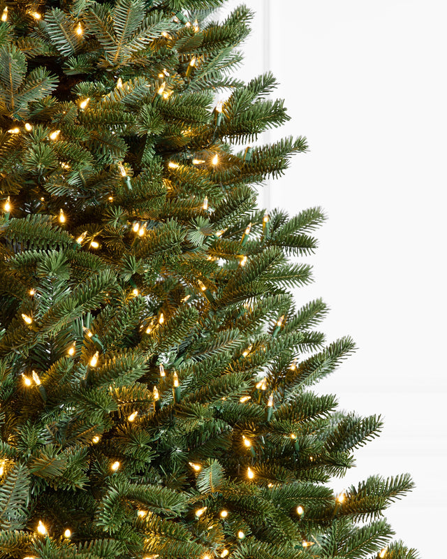 Detalhe das luzes do Abeto Fraser Imperial Flip Tree