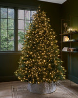 Árvore Abeto Fraser Imperial decorada em sala de Natal