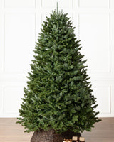 Árvore de Natal Abeto Fraser Imperial sem iluminação