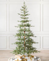 Árvore de Natal Abeto Balsâmico Alpino — Visão completa