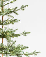 Árvore de Natal Abeto Balsâmico Alpino — Detalhe da folhagem