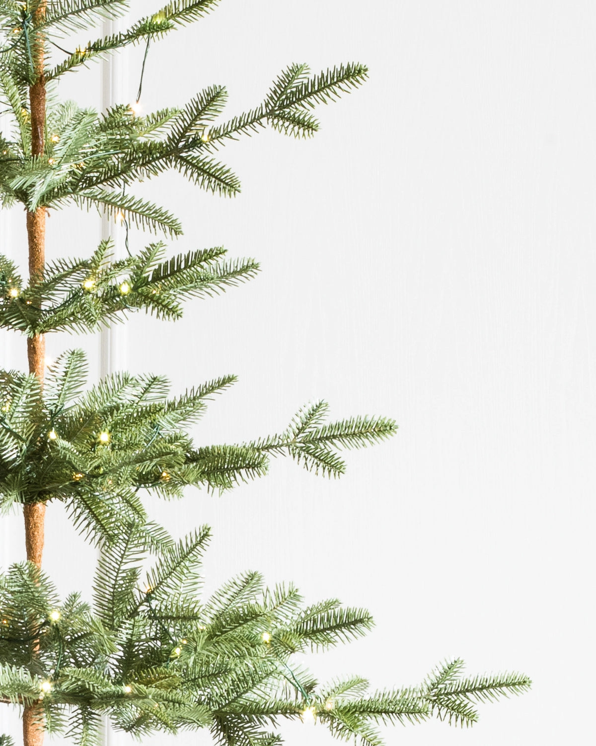 Árvore de Natal Abeto Balsâmico Alpino — Detalhe da folhagem