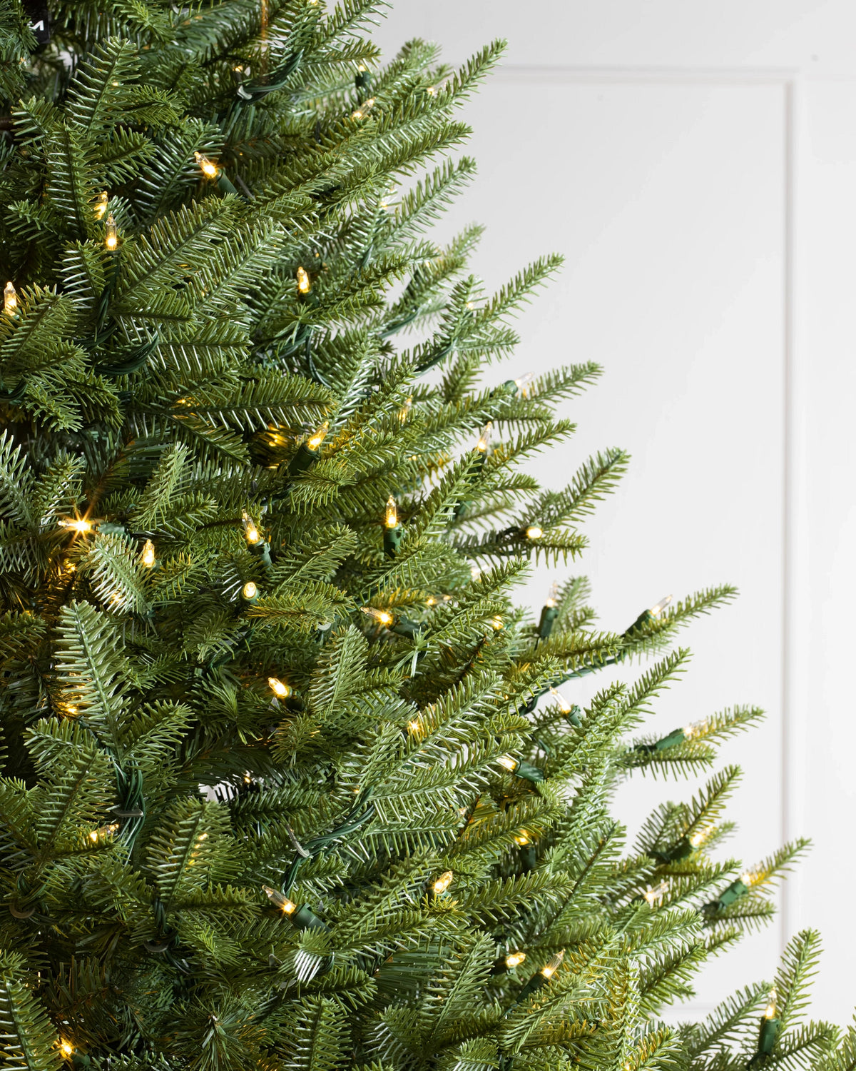 Árvore de Natal Abeto Balsâmico Imperial — Estrutura