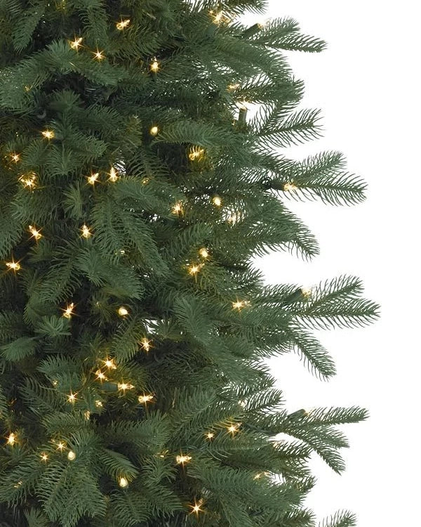 Árvore de Natal Abeto Catedral — Iluminação