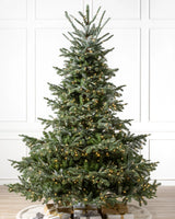 Árvore de Natal Abeto Europeu — Visão completa