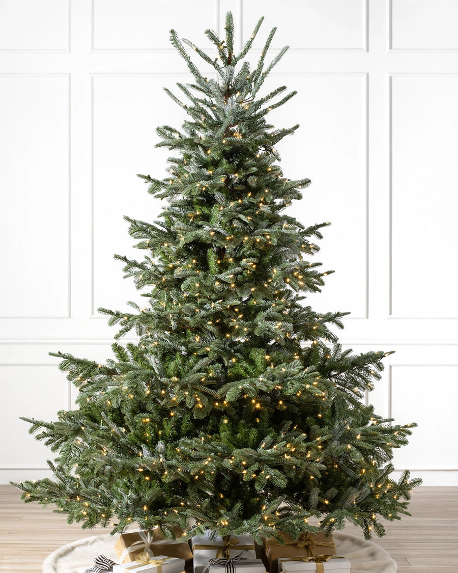 Árvore de Natal Abeto Europeu — Visão completa