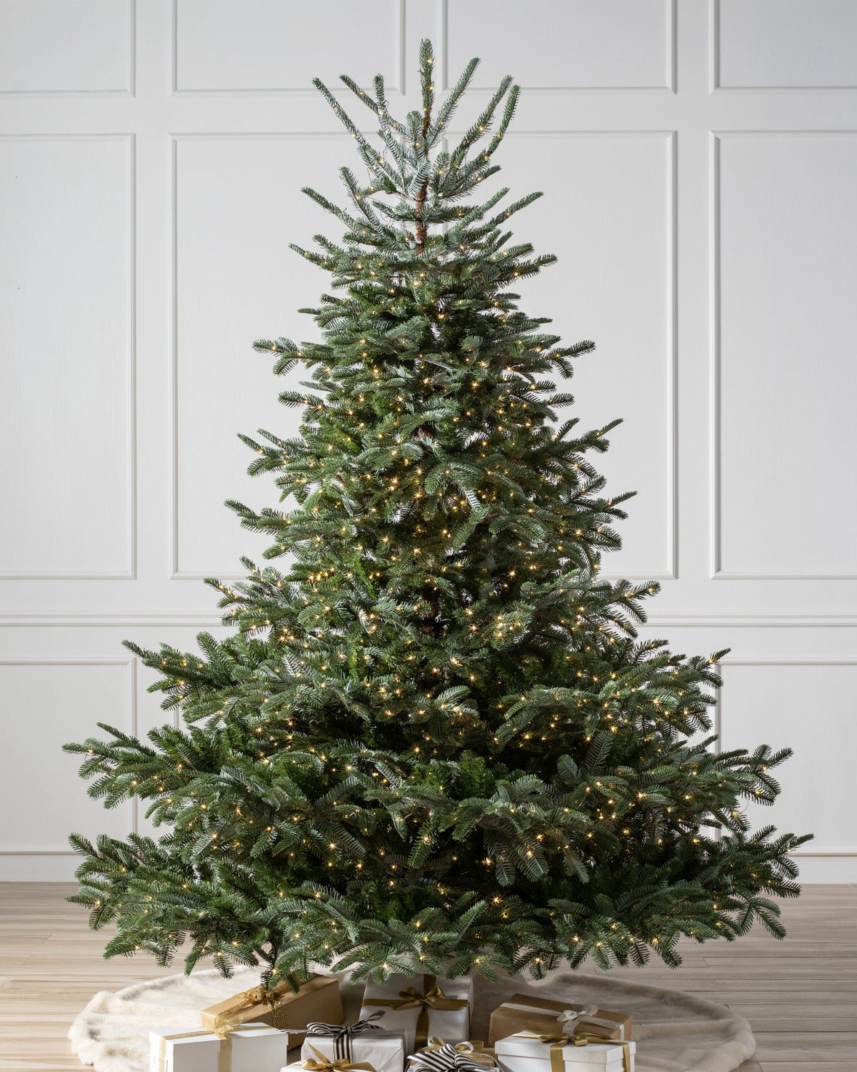 Árvore de Natal Abeto Europeu — Detalhe da folhagem