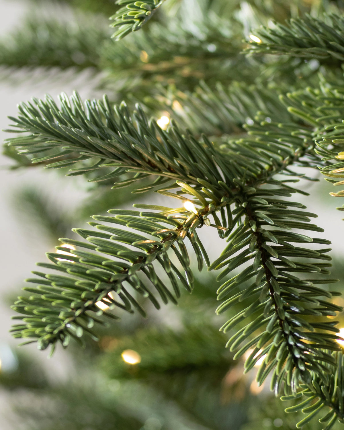 Árvore de Natal Abeto Europeu — Ambiente decorado