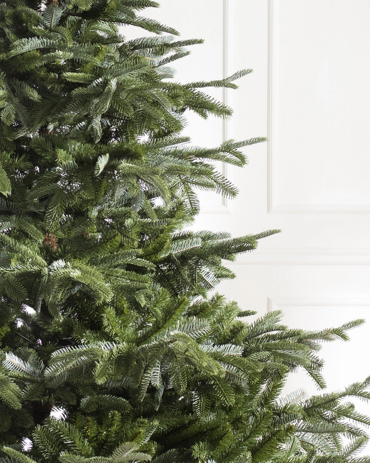 Árvore de Natal Abeto Europeu — Composição natalina