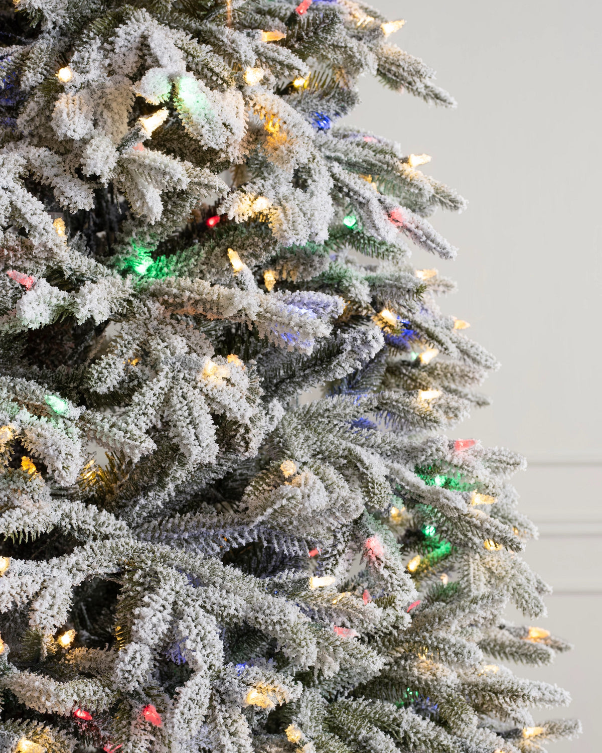 Árvore de Natal Abeto Fraser Nevado — Estrutura