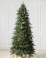 Árvore de Natal Abeto Montanha Berkshire — Iluminação
