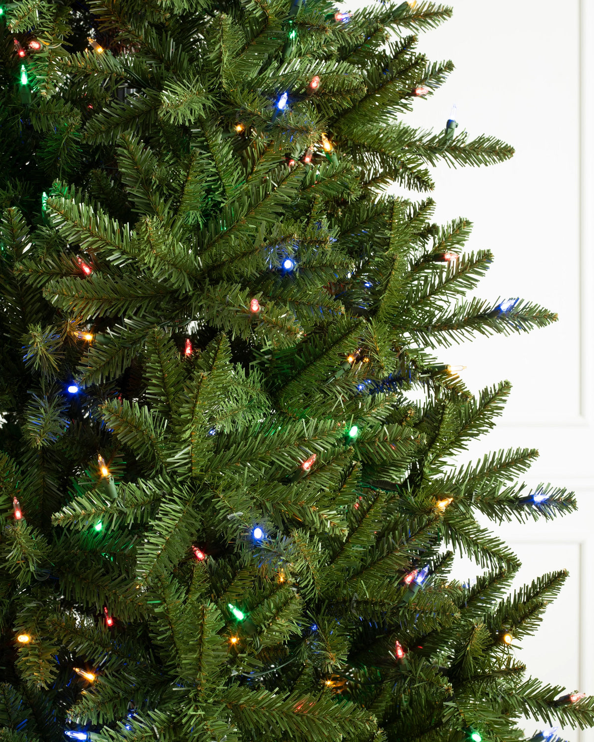 Árvore de Natal Abeto Montanha Berkshire — Estrutura