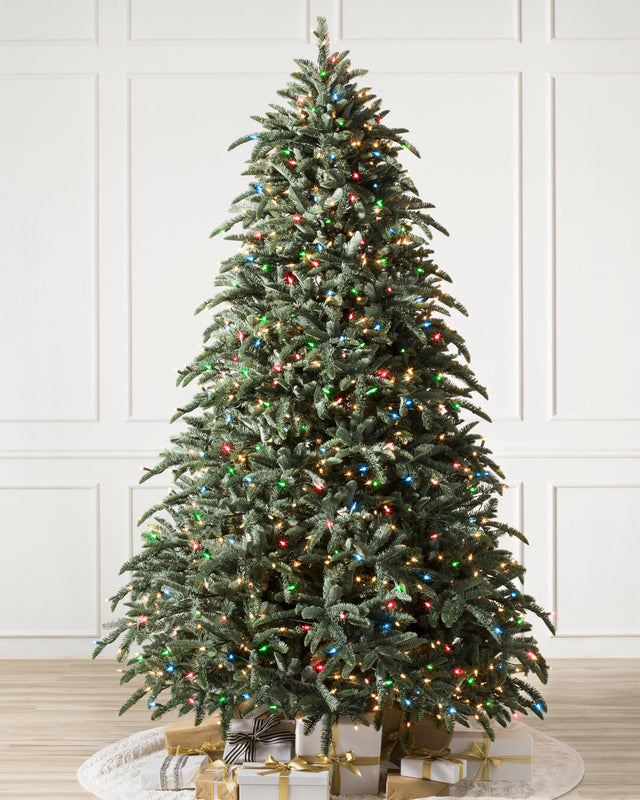 Árvore de Natal Abeto Nobre — Detalhe da folhagem