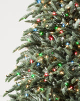 Árvore de Natal Abeto Nobre — Iluminação