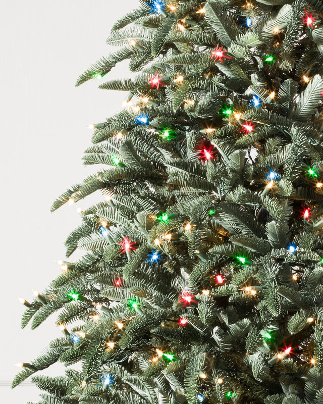 Árvore de Natal Abeto Nobre — Iluminação