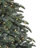 Árvore de Natal Abeto Nobre — Estrutura
