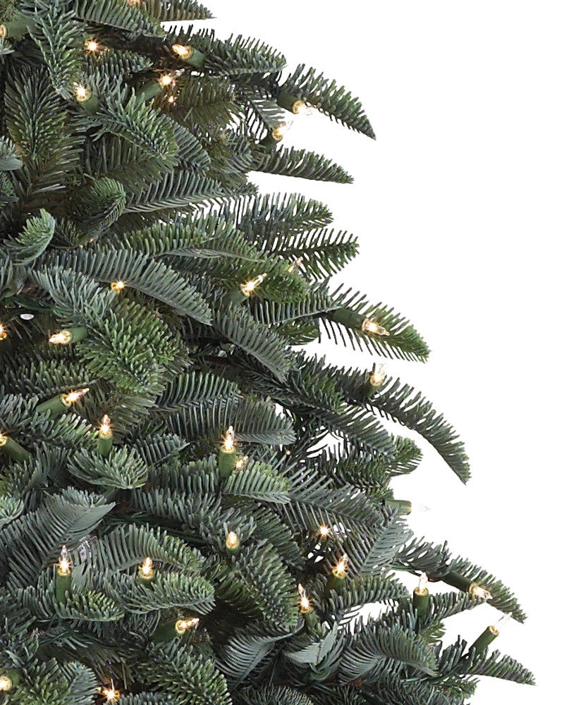 Árvore de Natal Abeto Nobre — Estrutura