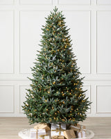 Árvore de Natal Abeto Prateado Europeu — Visão completa