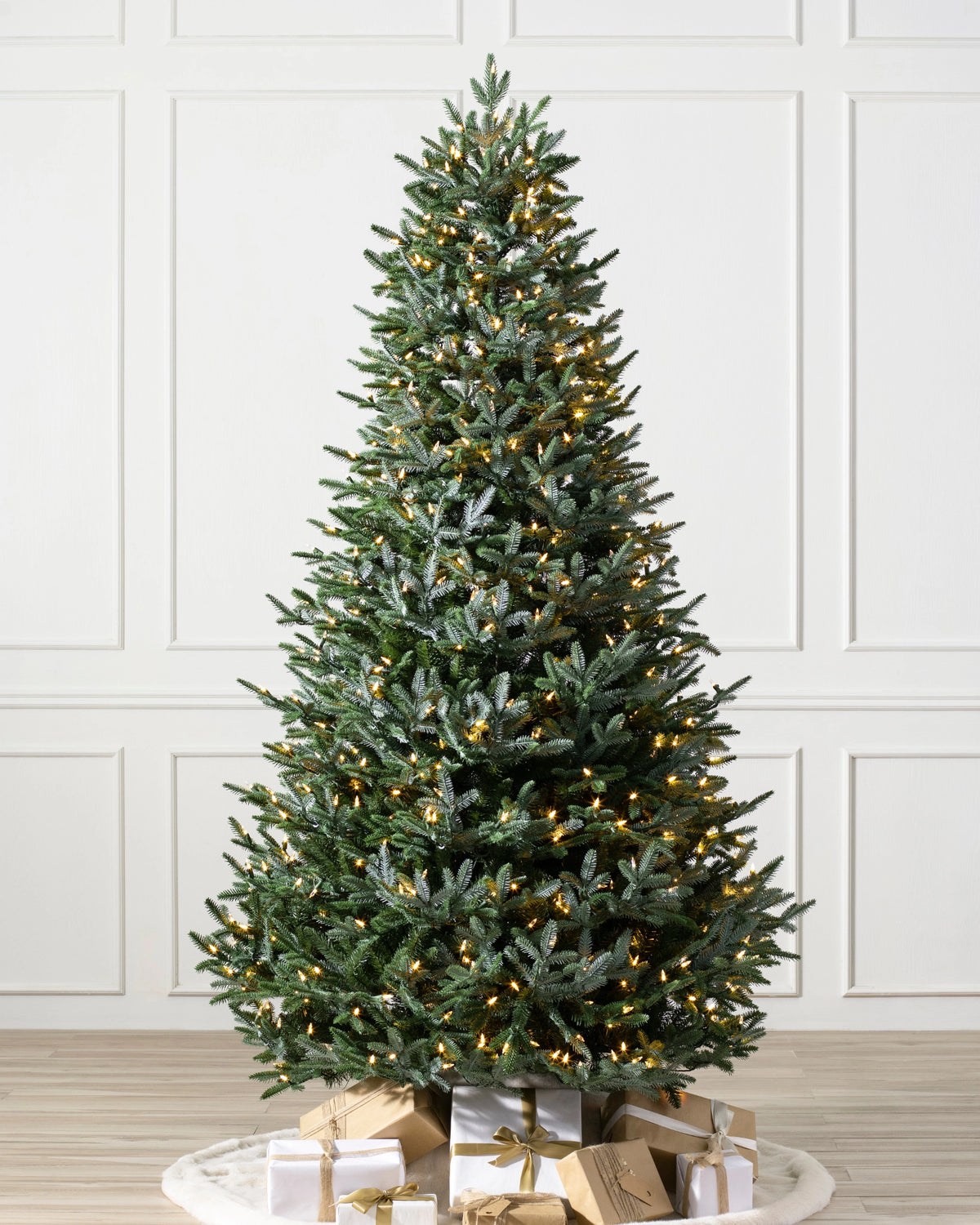 Árvore de Natal Abeto Prateado Europeu — Visão completa