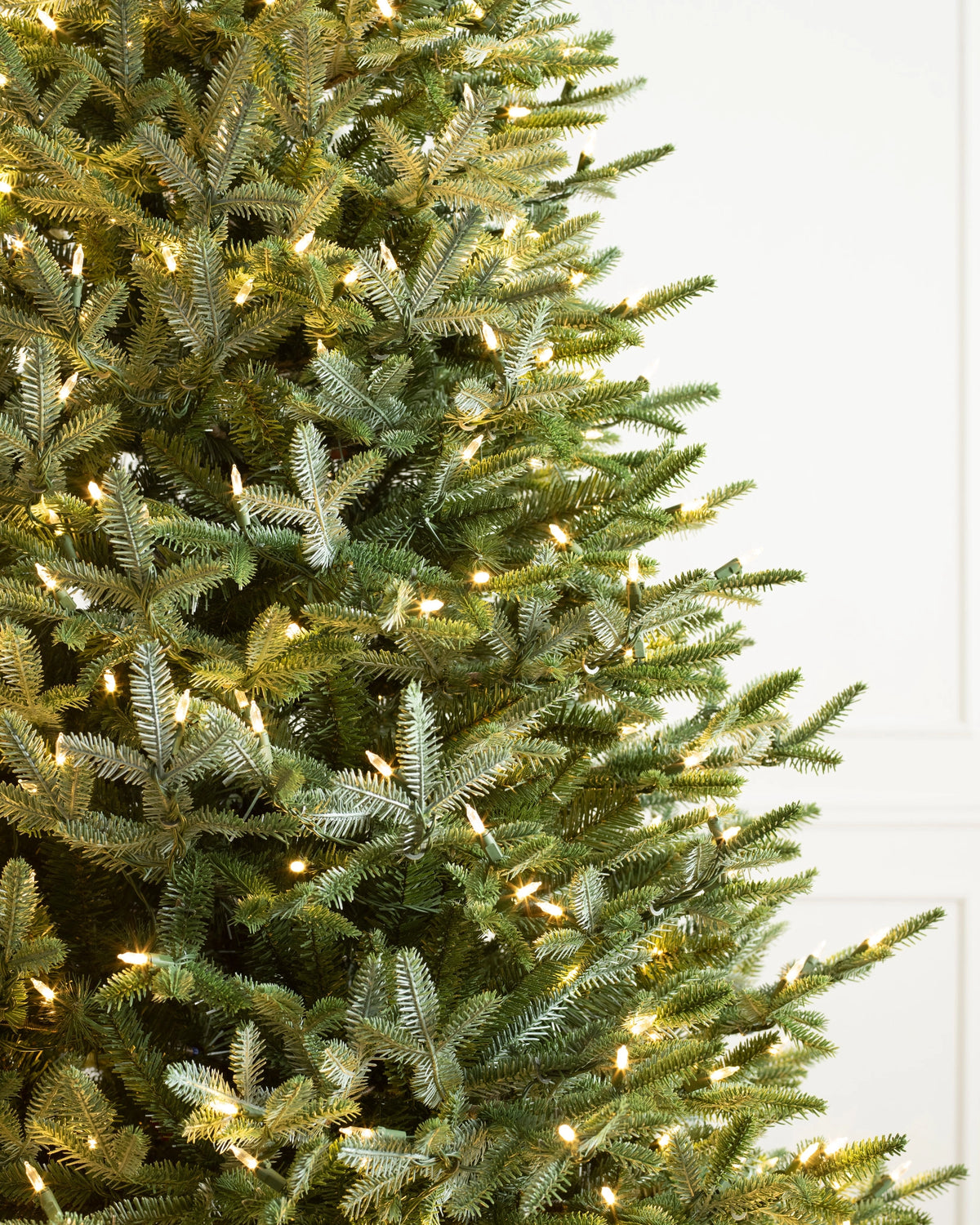 Árvore de Natal Abeto Prateado Europeu — Iluminação
