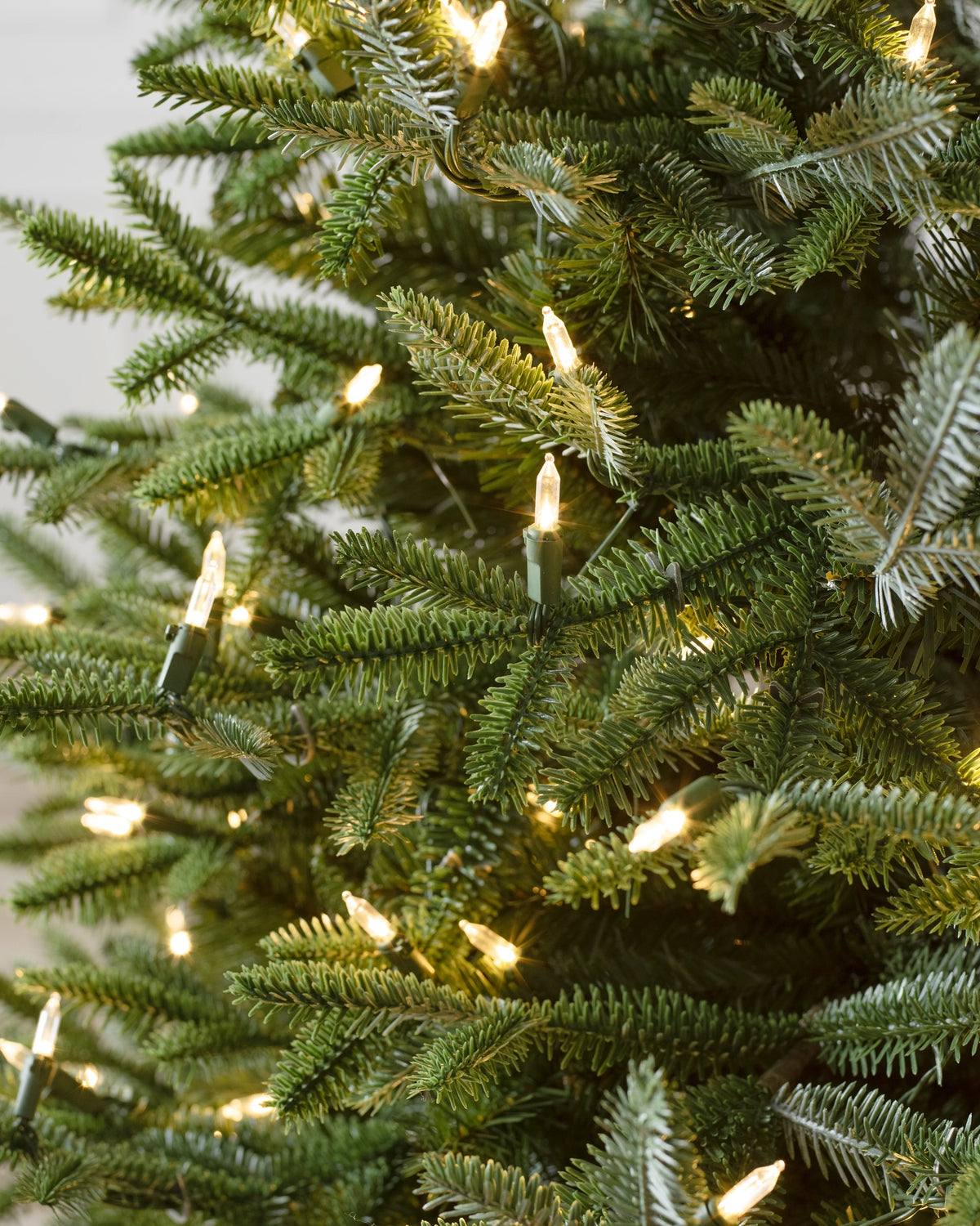 Árvore de Natal Abeto Prateado Europeu — Estrutura