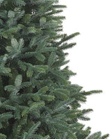 Árvore de Natal Abeto Prateado Europeu — Composição natalina