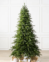 Árvore de Natal Grande Abeto Norueguês — Detalhe da folhagem