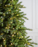 Árvore de Natal Grande Abeto Norueguês — Iluminação