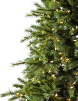 Árvore de Natal Grande Abeto Norueguês — Detalhe premium