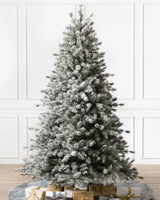 Árvore de Natal Pinheiro Açucarado Nevado — Detalhe da folhagem