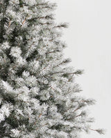 Árvore de Natal Pinheiro Açucarado Nevado — Iluminação