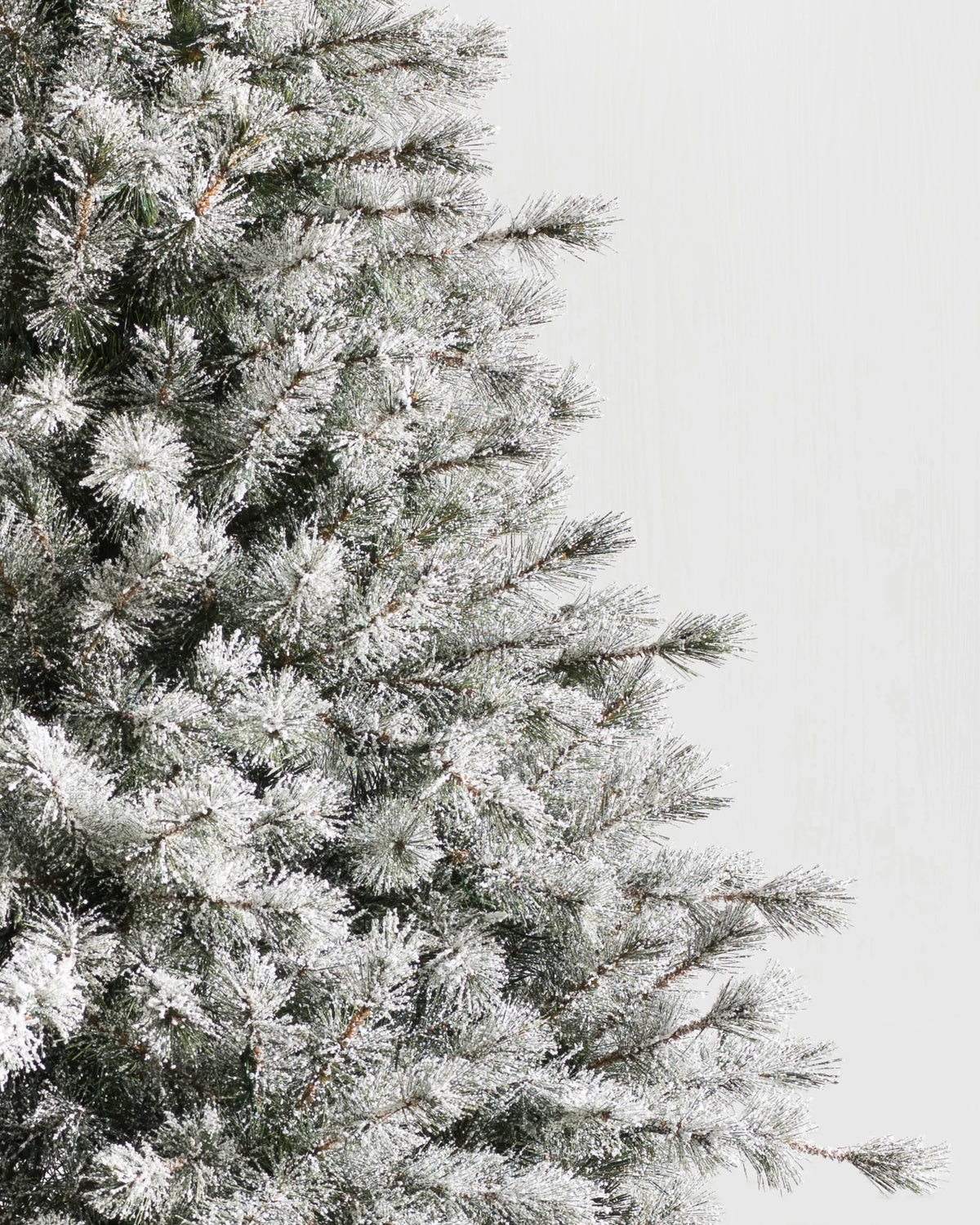 Árvore de Natal Pinheiro Açucarado Nevado — Iluminação