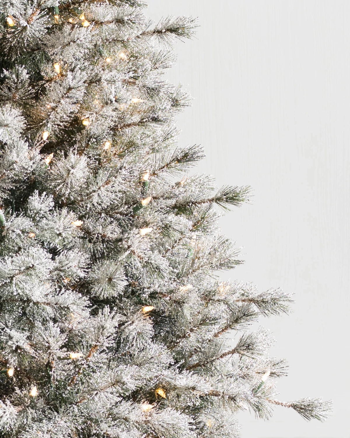 Árvore de Natal Pinheiro Açucarado Nevado — Estrutura