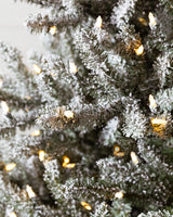 Árvore de Natal Pinheiro Azul Clássico Nevado — Iluminação