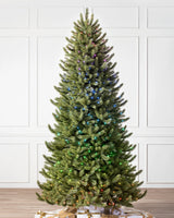 Árvore de Natal Pinheiro Branco de Vermont — Visão completa