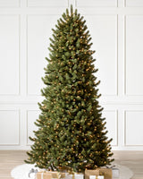 Árvore de Natal Pinheiro Branco de Vermont — Detalhe da folhagem