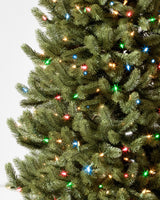 Árvore de Natal Pinheiro Branco de Vermont — Estrutura