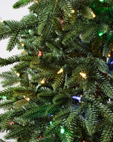 Árvore de Natal Pinheiro Lake Tahoe — Detalhe premium