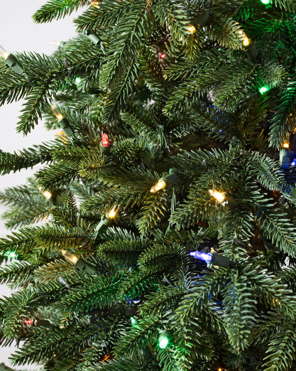 Árvore de Natal Pinheiro Lake Tahoe — Detalhe premium