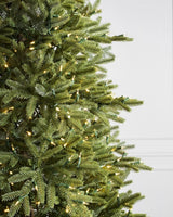 Árvore de Natal Pinheiro Norueguês — Estrutura