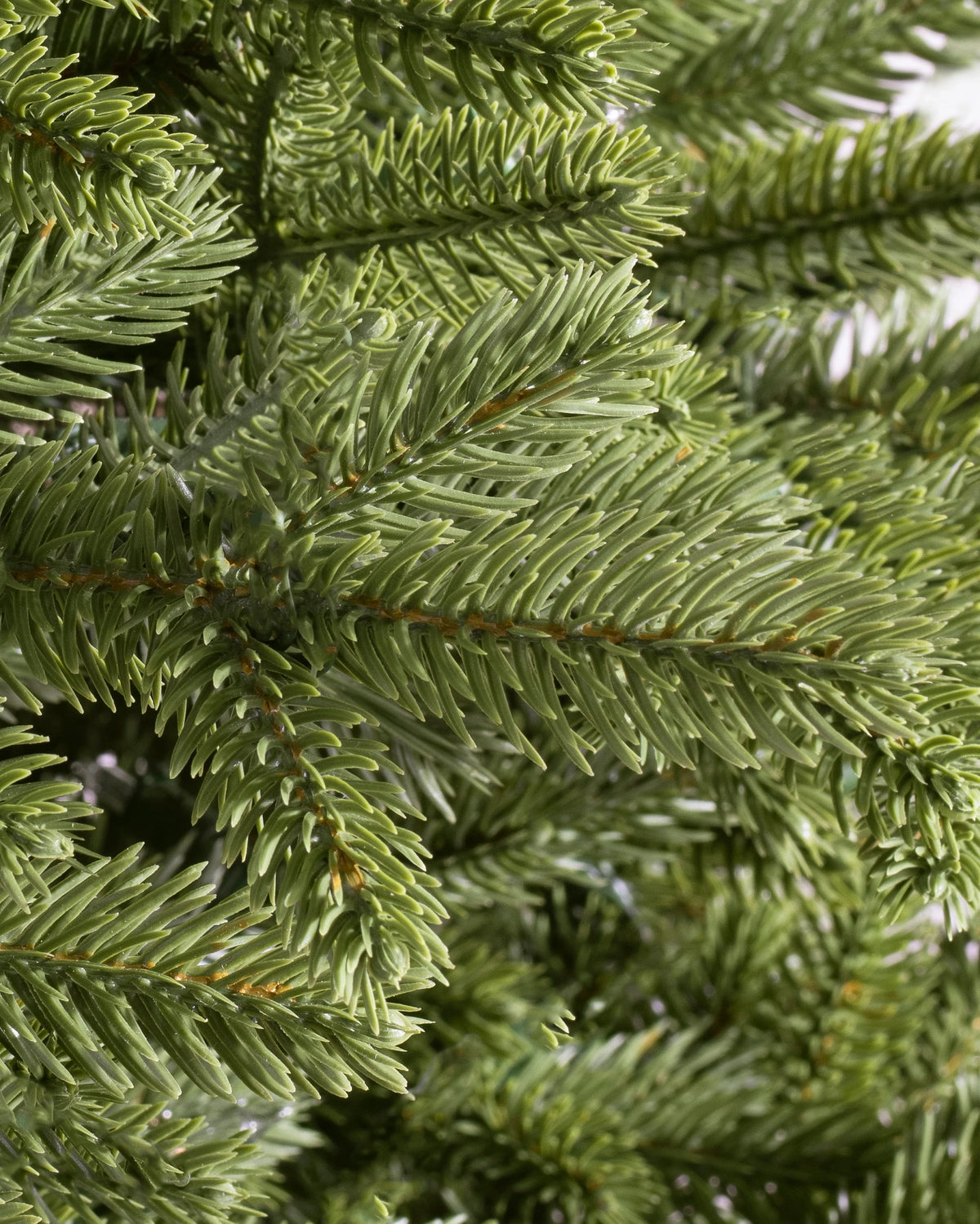 Árvore de Natal Pinheiro Norueguês — Ambiente decorado