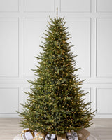 Árvore de Natal Pinheiro Norueguês do Norte — Visão completa
