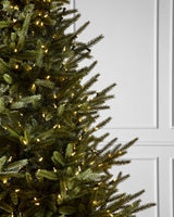 Árvore de Natal Pinheiro Norueguês do Norte — Detalhe da folhagem