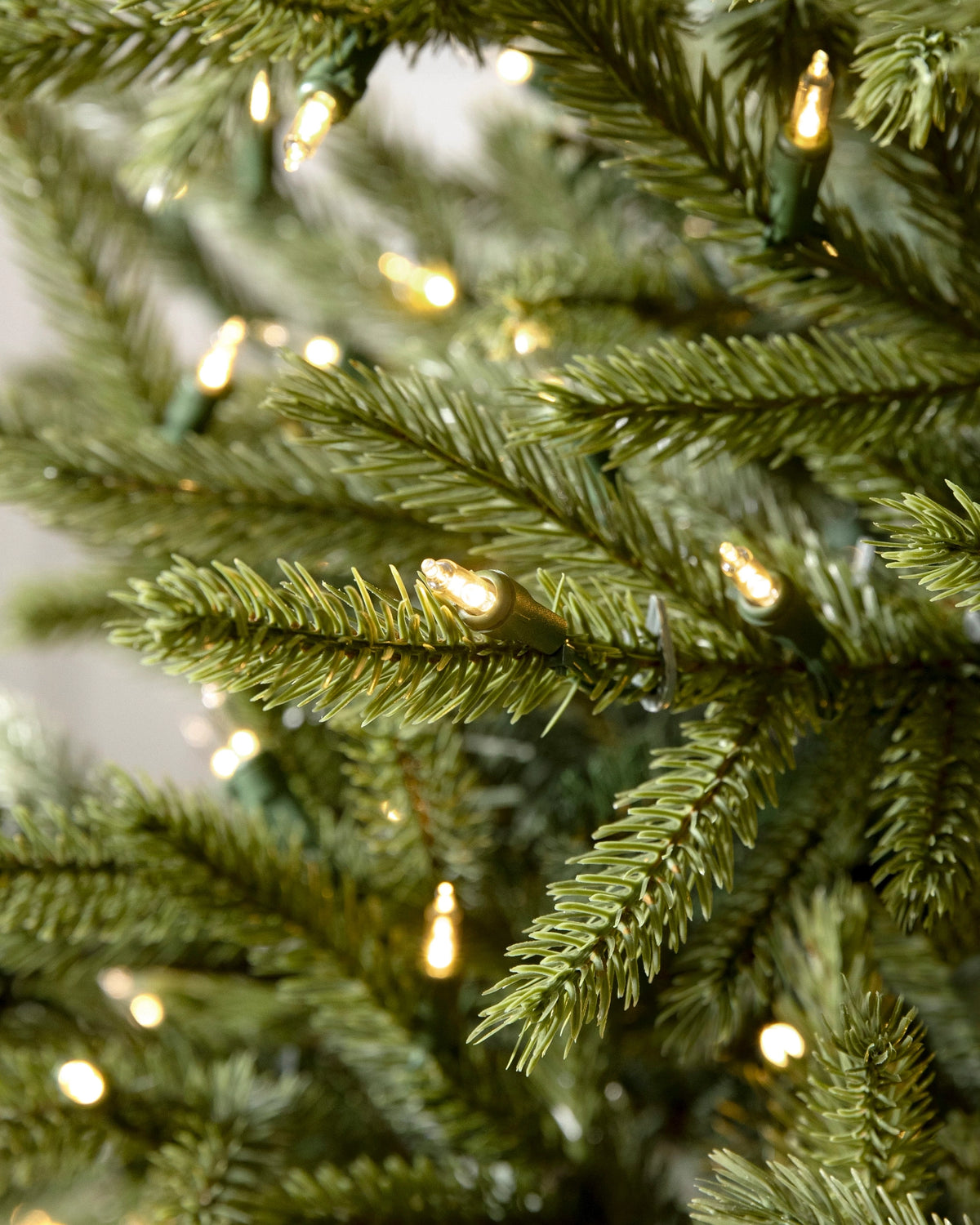 Árvore de Natal Pinheiro Norueguês do Norte — Iluminação