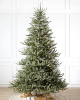 Árvore de Natal Pinheiro Sanibel — Visão completa