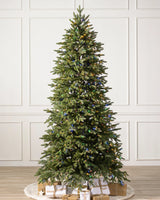 Árvore de Natal Pinheiro Stratford — Visão completa
