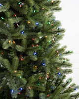 Árvore de Natal Pinheiro Woodland — Estrutura