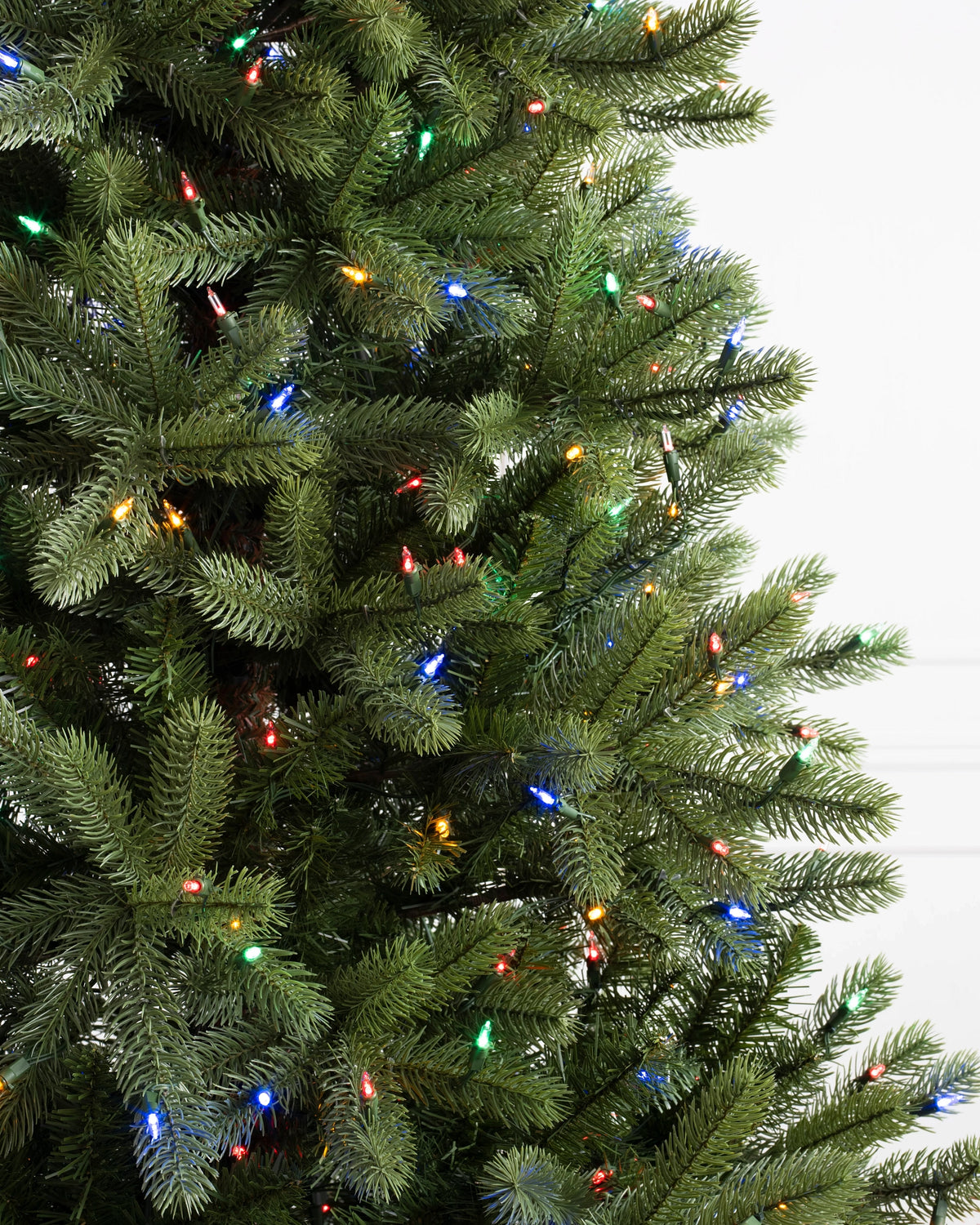 Árvore de Natal Pinheiro Woodland — Estrutura